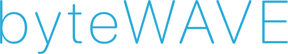 Bytewave — IT Consultancy & Infrastructure Management | Dubai